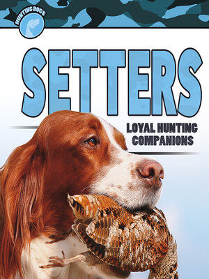 cover image of Setters